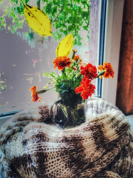 Pencere arkasında sonbahar durgun bir hayat, çiçekli kahve fincanı ve sıcak örgü eşarp..