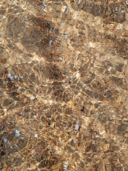 Fundo Mar Fundo Transparente Com Seixos Conchas Com Água Clara — Fotografia de Stock