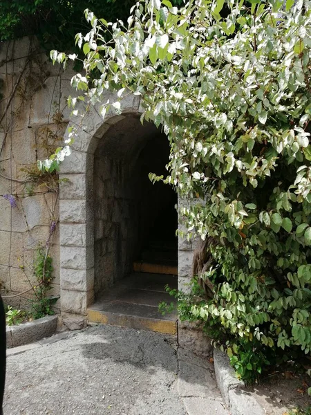 Eski kemerin arka planı nistorik geçmişin bir elementi olarak, süslemeli tırmanma çitinin yanında.