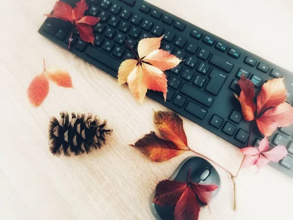 Office Desk Autumn Leaves Fir Cones Keyboard Background — Stock Photo, Image