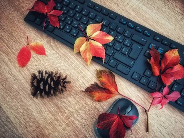 Herbst Büro Schreibtisch Hintergrund Trockene Farbige Blätter Tastatur Tannenzapfen Holztisch — Stockfoto