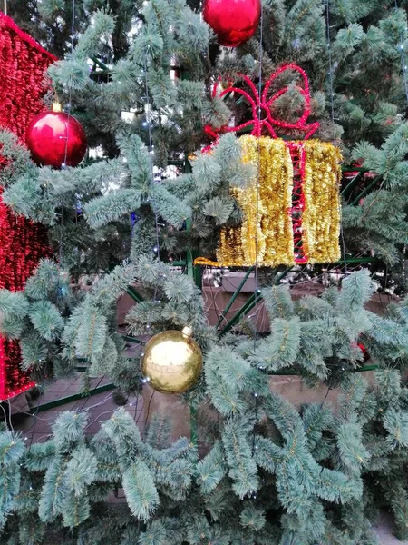 クリスマスの背景 クリスマスの服の青いトウヒ ギフトのクローズアップボックス クリスマス休暇感 — ストック写真