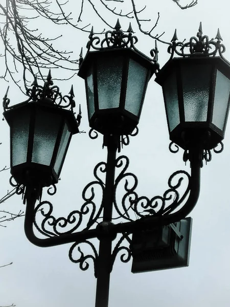 Vintage Street Lampa Bakgrunden Himlen Genom Grenarna Ett Träd Retrostil — Stockfoto