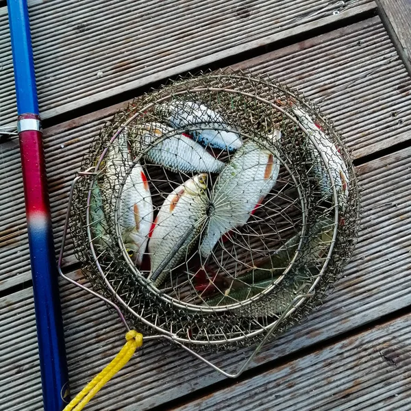 Ahşap bir köprünün arka planında, balık sepeti ve oltaya takılmış..