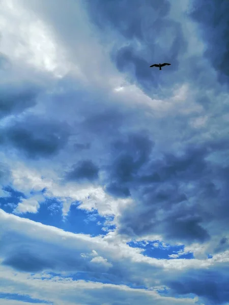 Achtergrond Van Lucht Kleuren Blauw Blauw Wolken Een Vogel Zwevend — Stockfoto