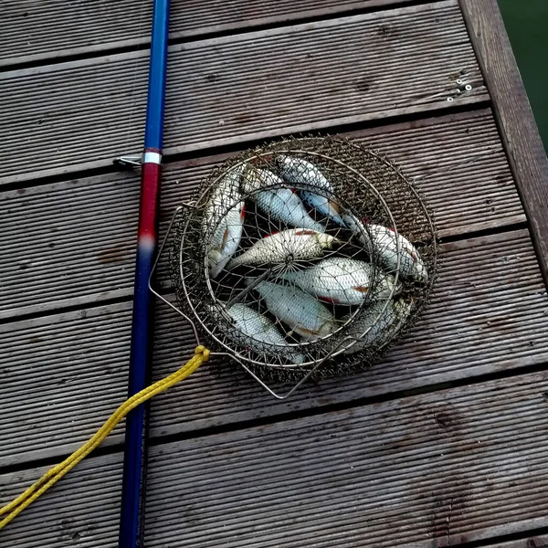 Pozadí Dřevěného Mostu Síťový Koš Ulovenými Rybami Vedle Rybářského Prutu — Stock fotografie