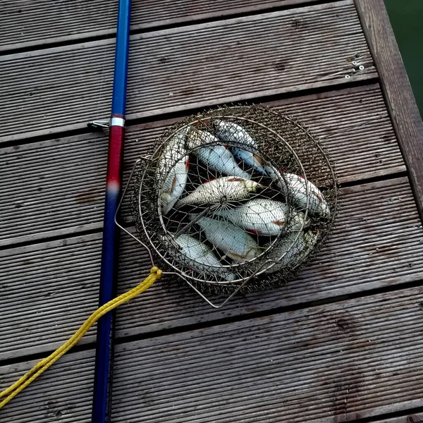 Sullo Sfondo Ponte Legno Cesto Rete Con Pesce Pescato Accanto — Foto Stock