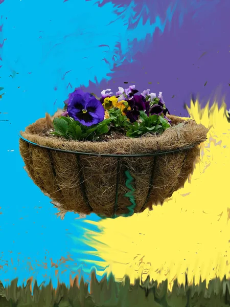 Ağaç rengi bir arka planda, gradyan bulanıklığı, yumuşak bir saman saksısında mor bir çiçek, yakın plan..