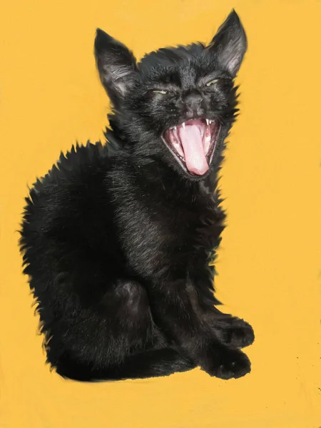 Pada Latar Belakang Kuning Ada Kucing Hitam Duduk Dengan Mulut — Stok Foto