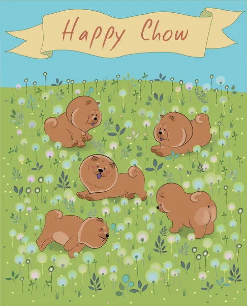Chow-chow feliz no campo florescente —  Vetores de Stock