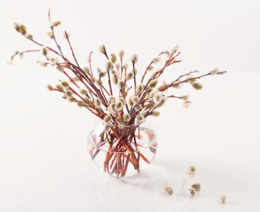 Palmiye pazarı için Bahar buket