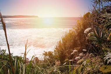 View of the ocean from the abrupt coast with a grass clipart