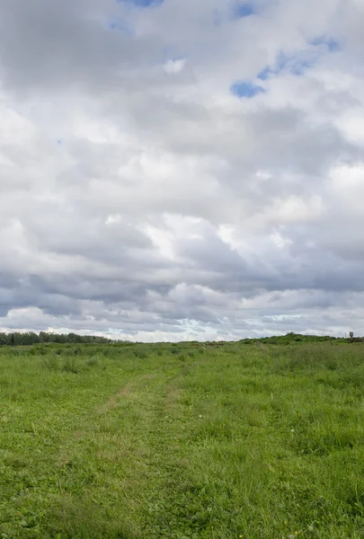 Nekosheny çim bulutlu havalarda alanıyla — Stok fotoğraf