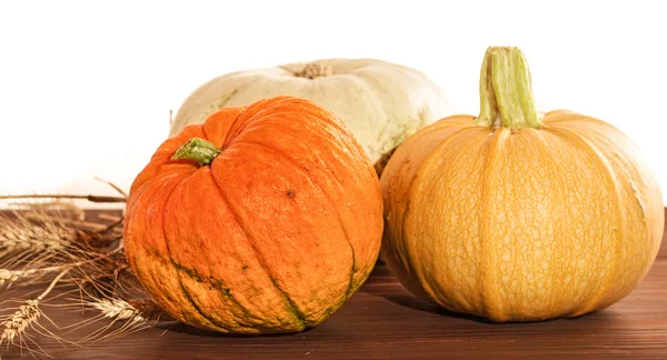 Three multi-colored pumpkins and cones on a wooden table Stock Photo