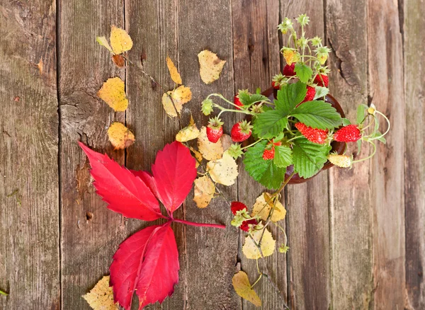 Las hojas otoñales y las bayas de la fresa salvaje sobre la mesa vieja , — Foto de Stock