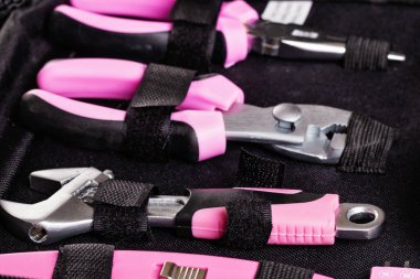 Pembe saplı ev sahipleri araç takımı