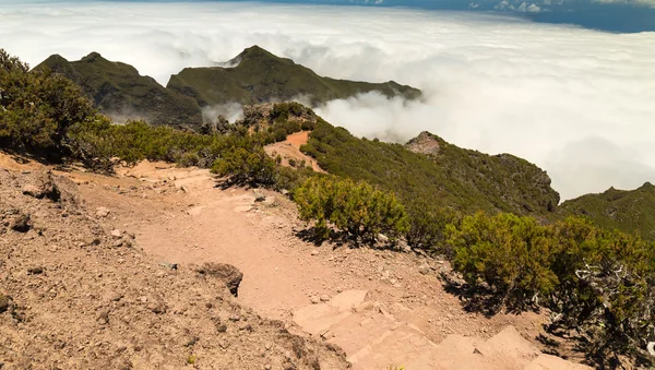 Кам'янисті трек в гори Мадейри над хмарами — стокове фото