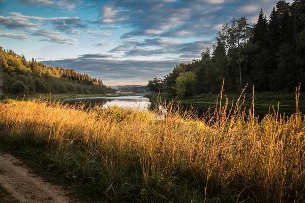 Autumn grass near the river lit by the setting sun — Stock Photo, Image