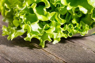 Parlak yeşil marul yaprakları eski gri kurullarında yaktı