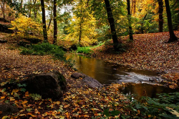 Autumn Day National Dendrological Park Sofiyivka — Stock Photo, Image