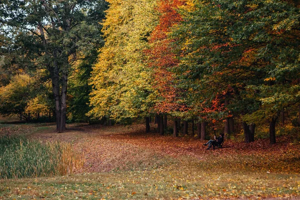 Podzimní Den Národním Dendrologickém Parku Sofijivka — Stock fotografie