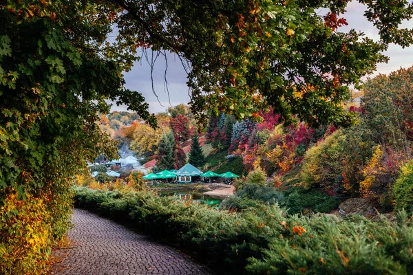 Podzimní Den Národním Dendrologickém Parku Sofijivka — Stock fotografie