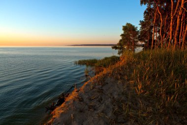 Büyük bir gölün kıyısındaki güzel çam ağaçları. Dinyeper Nehri 'nin Rocky Bank' ı. Gündoğumunun erken saatlerinde Dinyeper nehrinde
