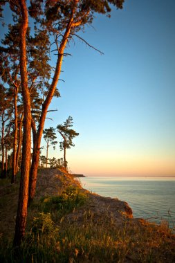 Büyük bir gölün kıyısındaki güzel çam ağaçları. Dinyeper Nehri 'nin Rocky Bank' ı. Gündoğumunun erken saatlerinde Dinyeper nehrinde