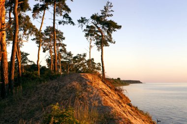 Büyük bir gölün kıyısındaki güzel çam ağaçları. Dinyeper Nehri 'nin Rocky Bank' ı. Gündoğumunun erken saatlerinde Dinyeper nehrinde