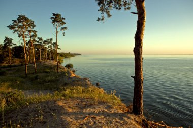 Büyük bir gölün kıyısındaki güzel çam ağaçları. Dinyeper Nehri 'nin Rocky Bank' ı. Gündoğumunun erken saatlerinde Dinyeper nehrinde