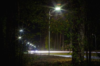 Fenerler geceleri ormanı ve yolu aydınlatır.