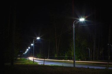 Fenerler geceleri ormanı ve yolu aydınlatır.