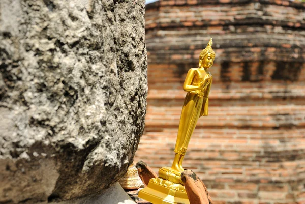 Küçük Buda — Stok fotoğraf