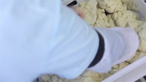 Виробництво російських пельменів (пельменів, наклейка на горщик)-виробництво тіста — стокове відео