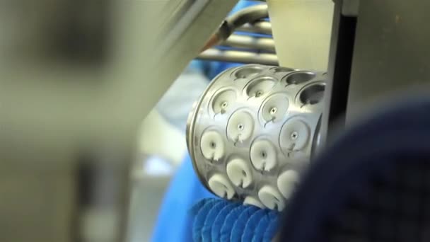 Producción de albóndigas rusas (Ravioli, Pot Sticker) - Línea de producción automática — Vídeos de Stock