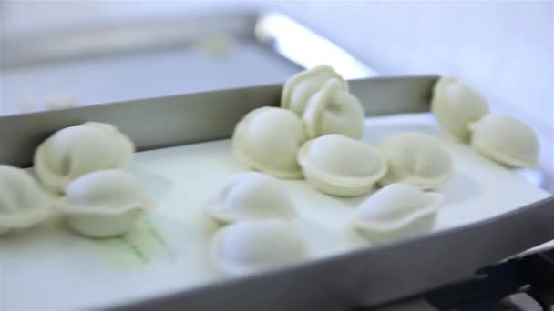 Production Russian Dumplings (Ravioli, Pot Sticker) - Automatic Production Line — Stock Video