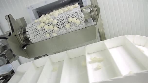 Produktion russischer Knödel (Ravioli, Topfaufkleber) - automatische Produktionslinie — Stockvideo