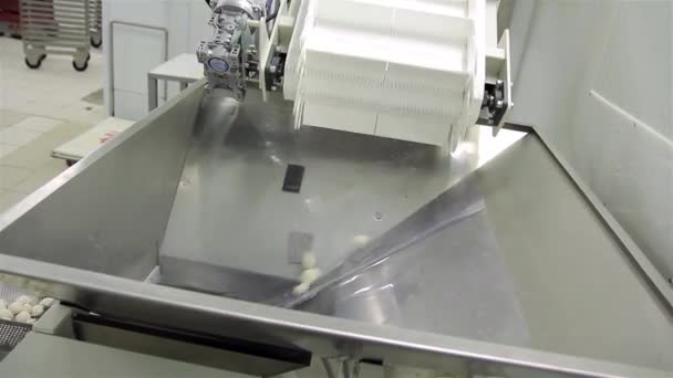 Production Dumplings russes (Ravioli, autocollant de pot) - Ligne de production automatique 