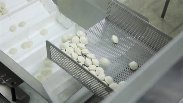 Produktion russischer Knödel (Ravioli, Topfaufkleber) - automatische Produktionslinie — Stockvideo