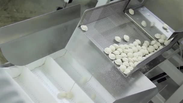Produção Russian Dumplings (Ravioli, Pot Sticker) - Linha de produção automática — Vídeo de Stock
