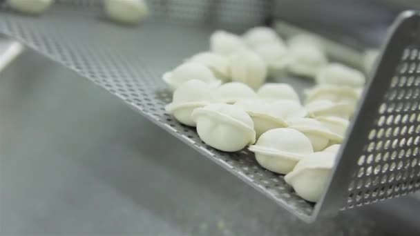 Production Russian Dumplings (Ravioli, Pot Sticker) - Automatic Production Line — Stock Video