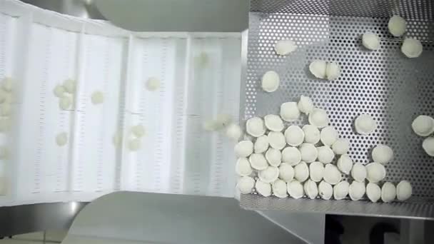 Produktion ryska Dumplings (Ravioli, potten klistermärke) - automatisk produktionslinje — Stockvideo