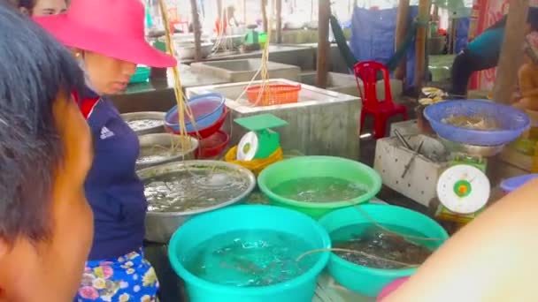 Vietnã, maio 2016 - Mercado rústico de frutos do mar — Vídeo de Stock