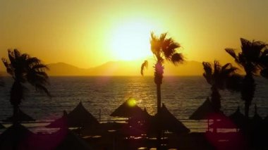 yükselen güneş, deniz, palm, ada, sahil