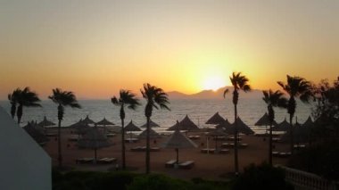 yükselen güneş, deniz, palm, ada, sahil