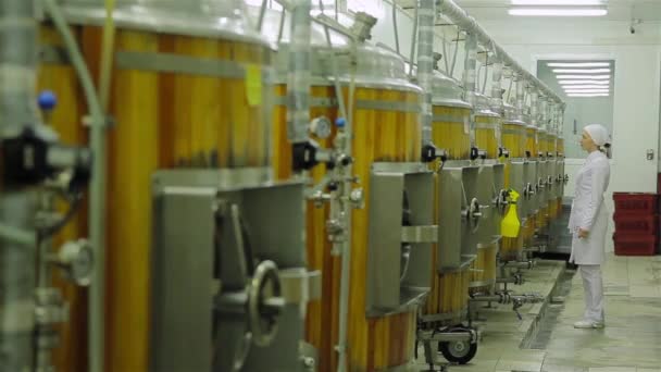 Laboratory on food industry (brewery) — Stock Video