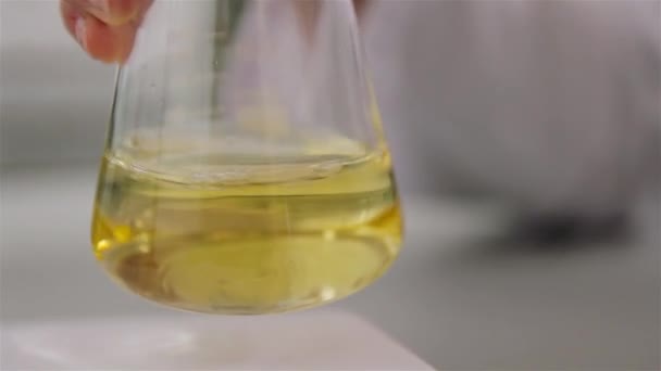 Laboratoř na potravinářský průmysl (pivovar) — Stock video