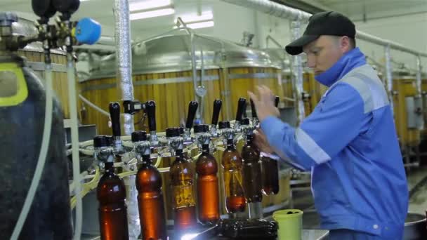 Déversement manuel de bière en bouteilles à la brasserie — Video