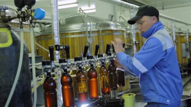 Flaschenbier in der Brauerei verschüttet — Stockvideo