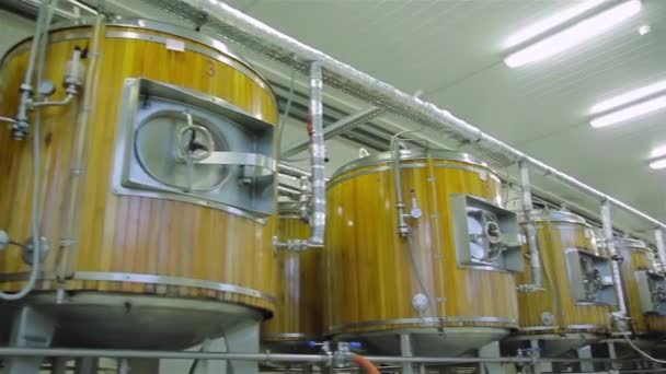 Production of live beer brewing — Stock Video